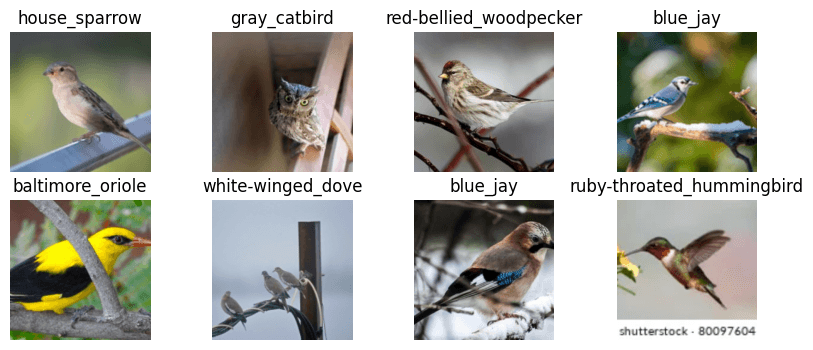 Dataloader Birds Batch