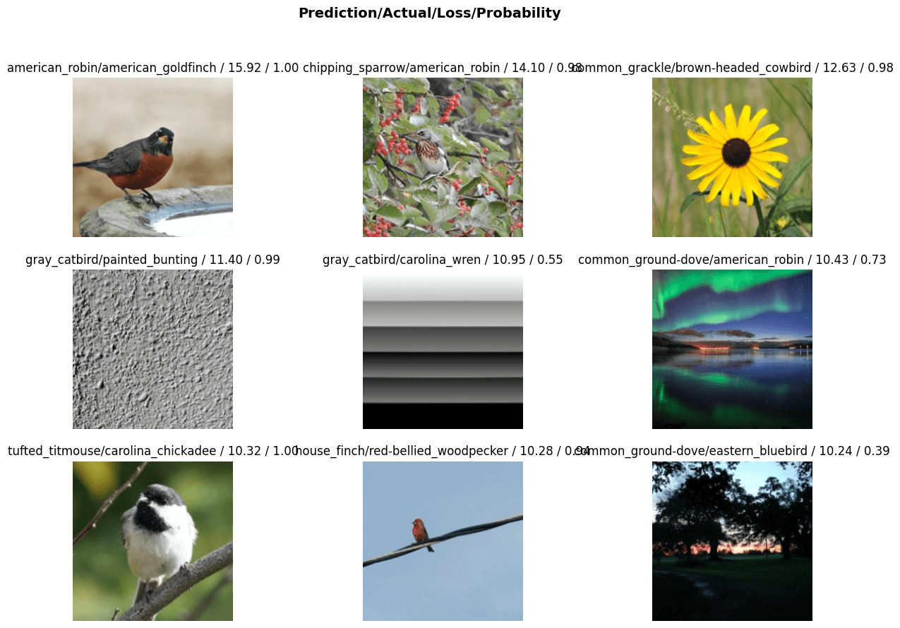 Grid of Birds with the Top Losses